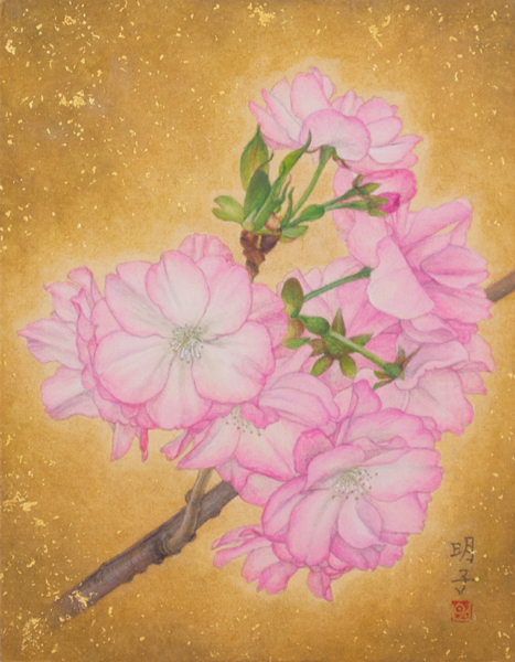 福永 明子「華さくら」