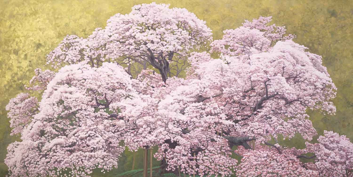 大桜