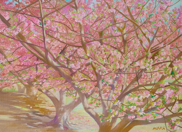 松沢 真紀「春を恋う」