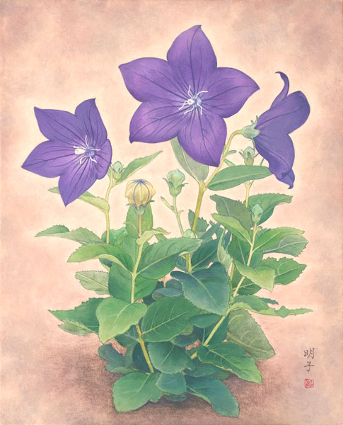 福永明子「桔梗」