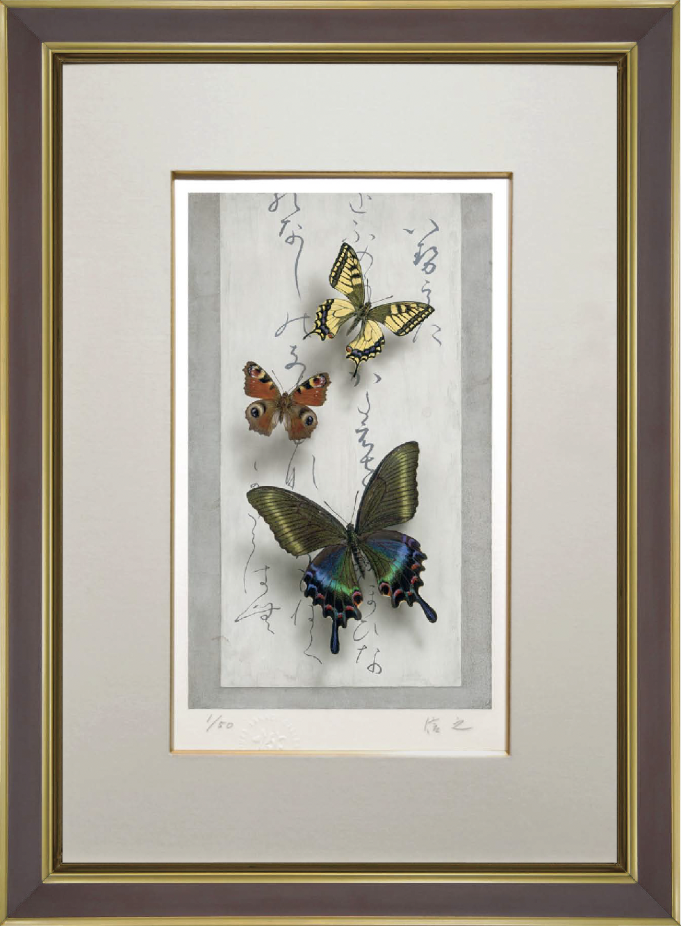 島村信之「蝶三種」