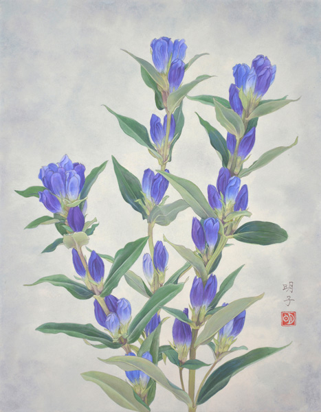 福永明子「竜胆」