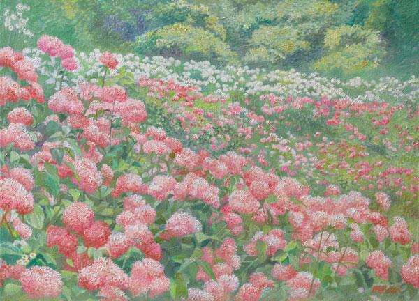 松沢真紀「Hortensia」