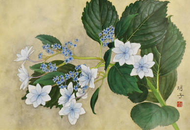 福永明子「紫陽花」